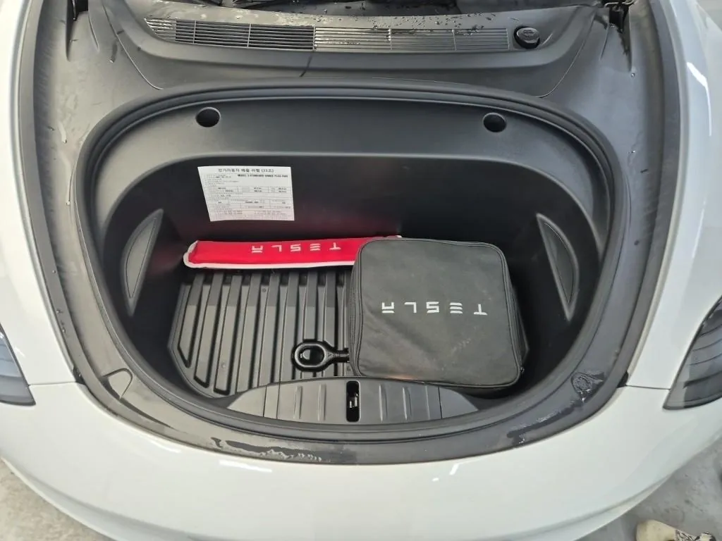 Tesla Model 3 2021 photo 5