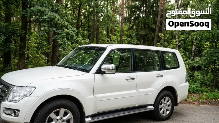 Mitsubishi Pajero 2020 photo 3