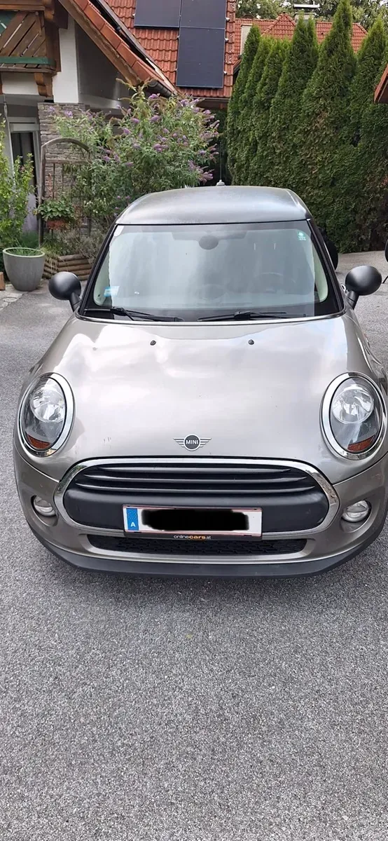 Mini Mini 2020 photo 3