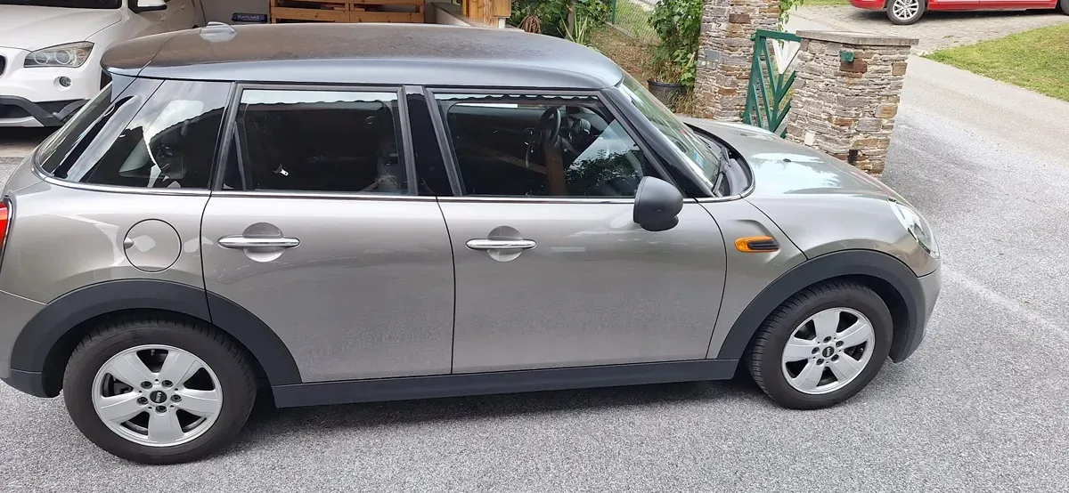 Mini Mini 2020 photo 2