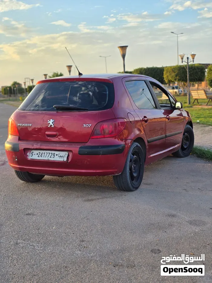 Peugeot 307 2004 photo 2