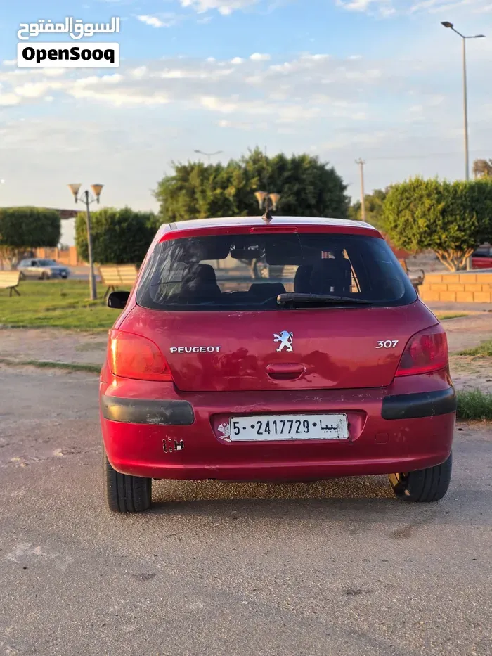 Peugeot 307 2004 photo 4