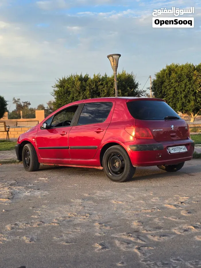 Peugeot 307 2004 photo 3