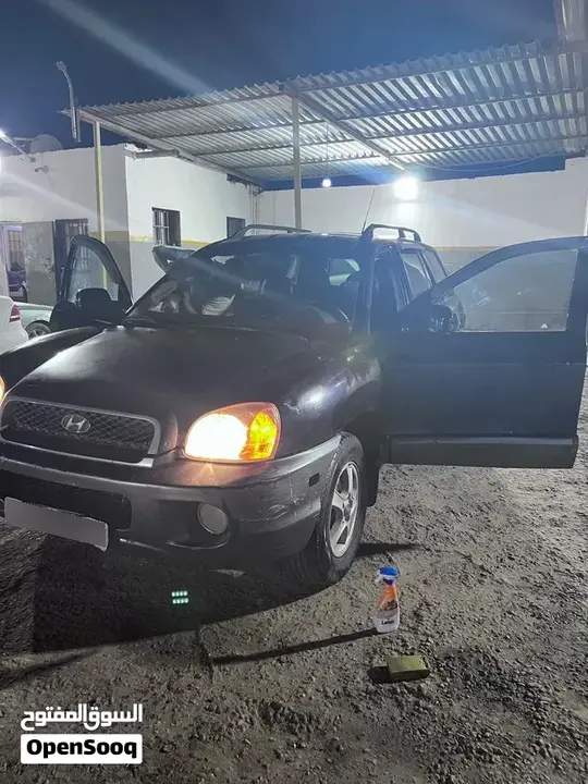 Hyundai Santa Fe 2004 photo 4