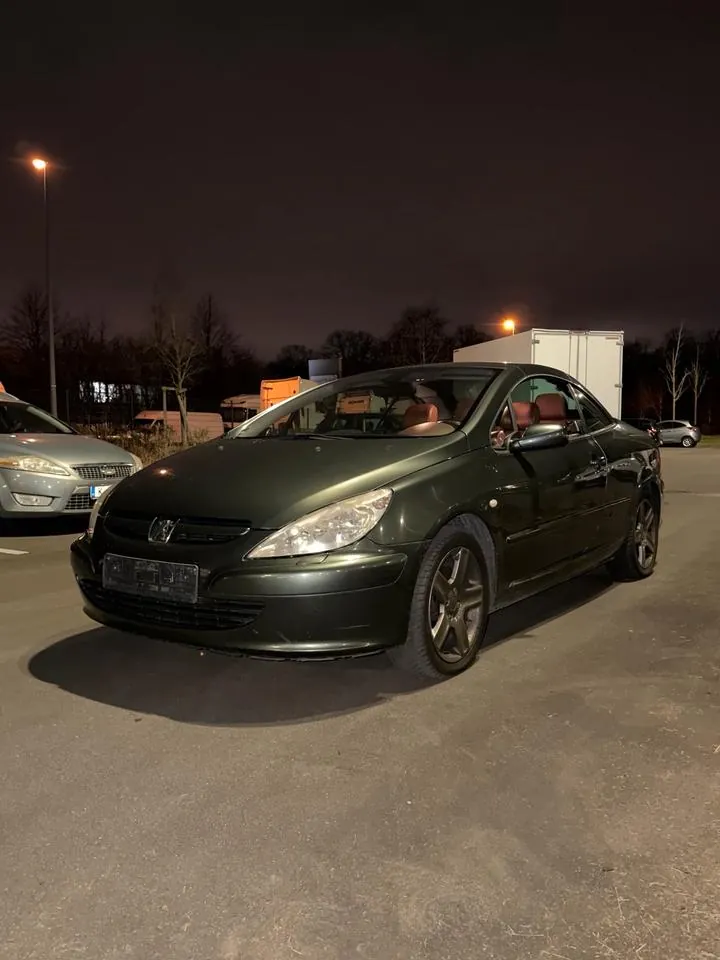 Peugeot 307 Cc Cabrio