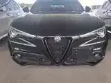 Alfa Romeo Stelvio 2021 photo 2
