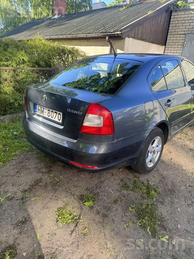 Skoda Octavia 2010 photo 4