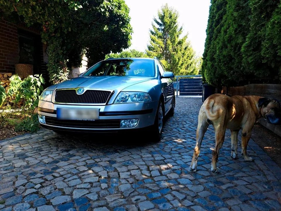 Skoda Octavia Combi