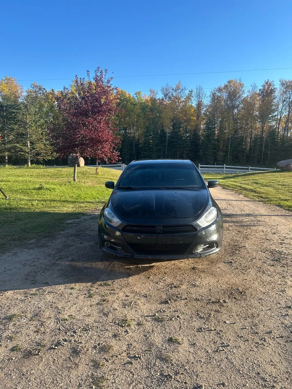Dodge Dart