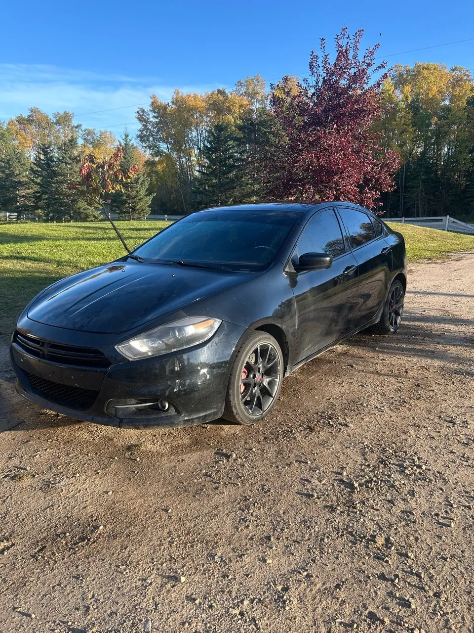 Dodge Dart 2013 photo 2