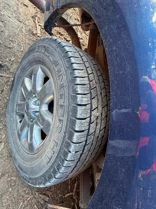 Ford F-150 2010 photo 4