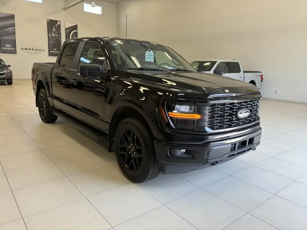 Ford F-150 2024 photo 3