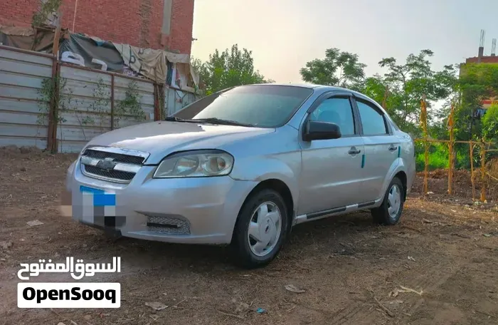 MG Mg 6 2026 photo 5