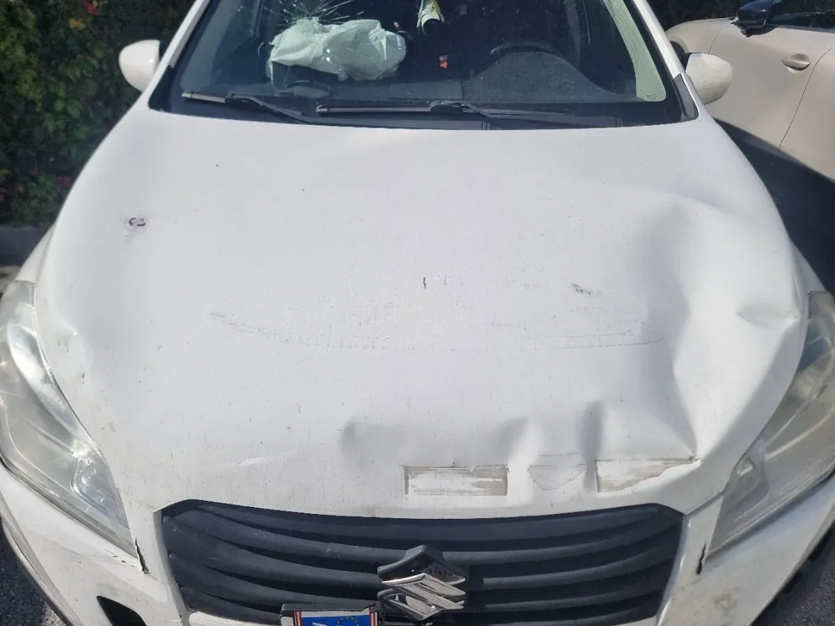 Suzuki Sx4 2014 photo 3