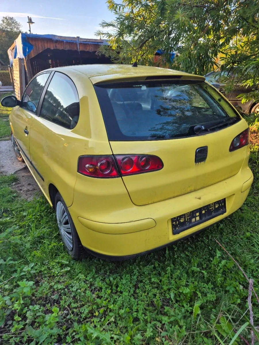 Seat Ibiza 2006 photo 3