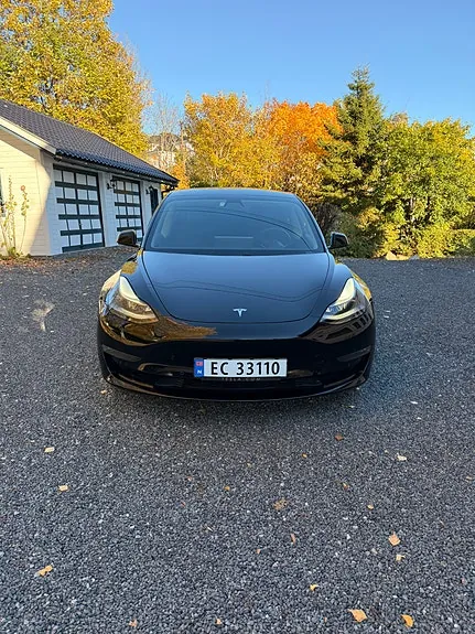 Tesla Model 3 2021 photo 3