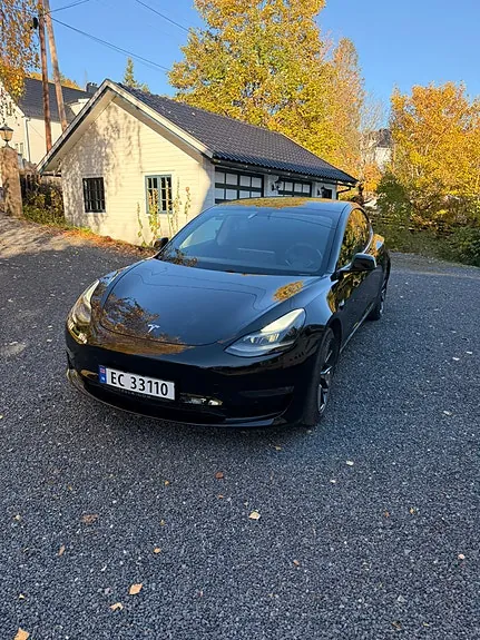 Tesla Model 3 2021 photo 2