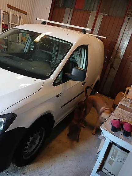 Volkswagen Caddy 2016 photo 4