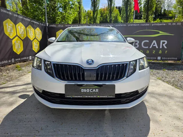 Skoda Octavia 2019 photo 2