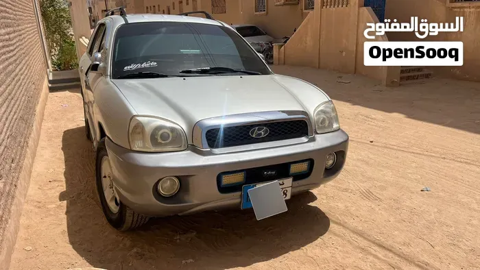 Hyundai Santa Fe 2003 photo 3