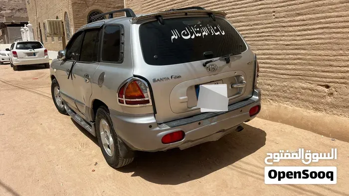 Hyundai Santa Fe 2003 photo 2