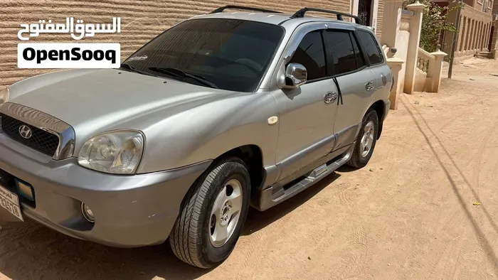 Hyundai Santa Fe 2003 photo 4