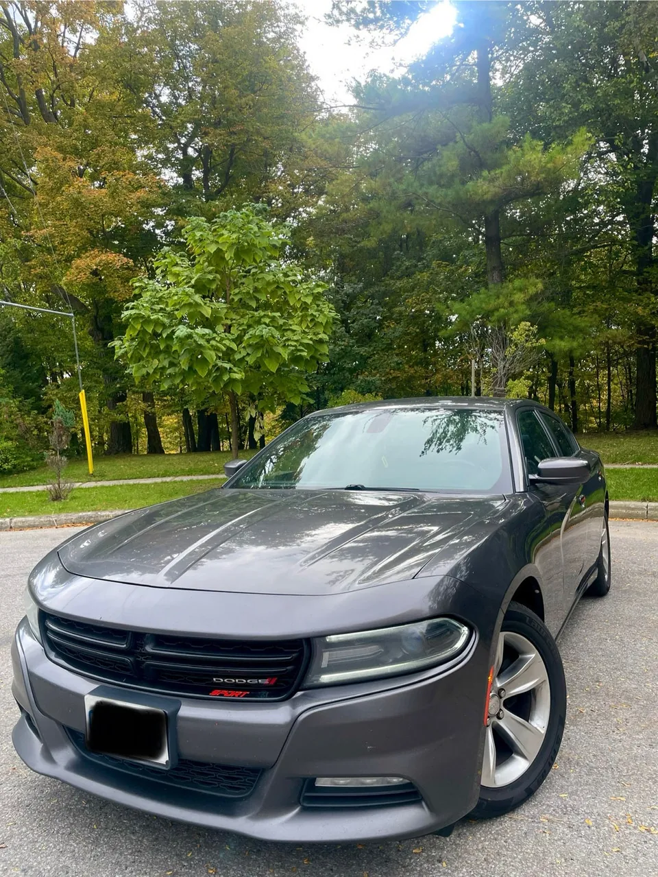 Dodge Charger 2016 photo 3