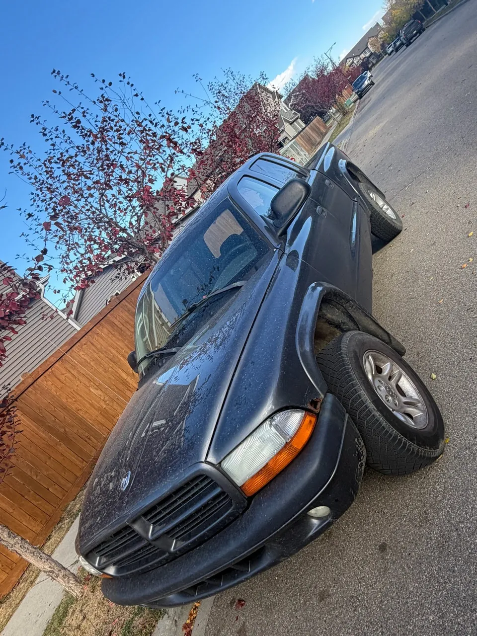 Dodge Dakota 2003 photo 2