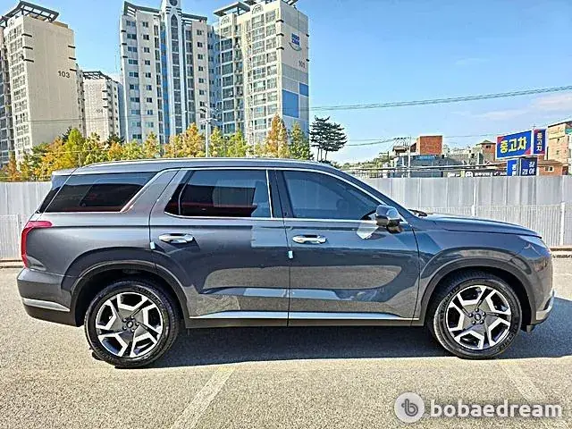 Hyundai Palisade 2024 photo 2