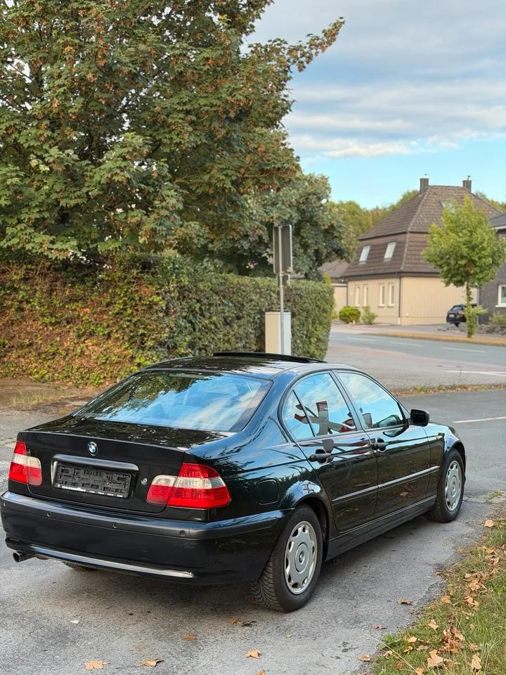 BMW E46