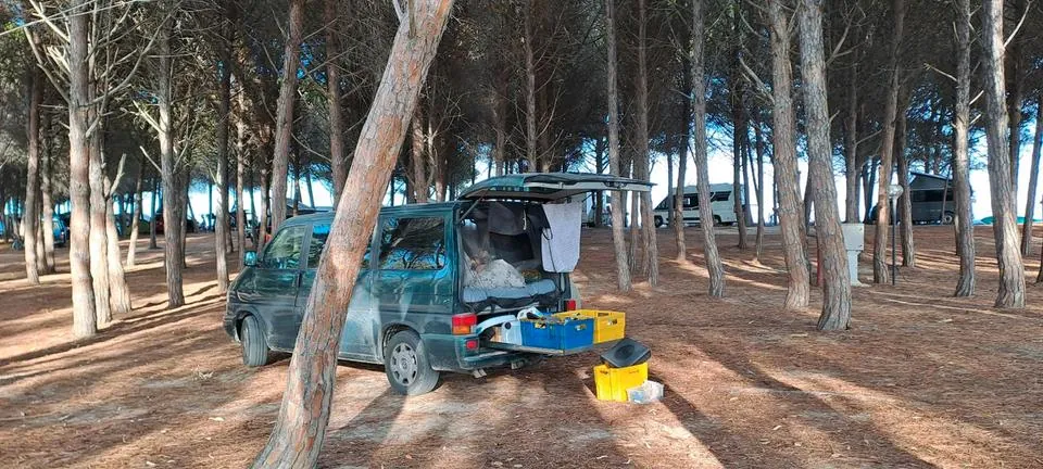 Volkswagen Bus