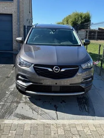 Opel Grandland X 2021 photo 3