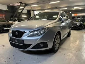 Seat Ibiza 2010 photo 3