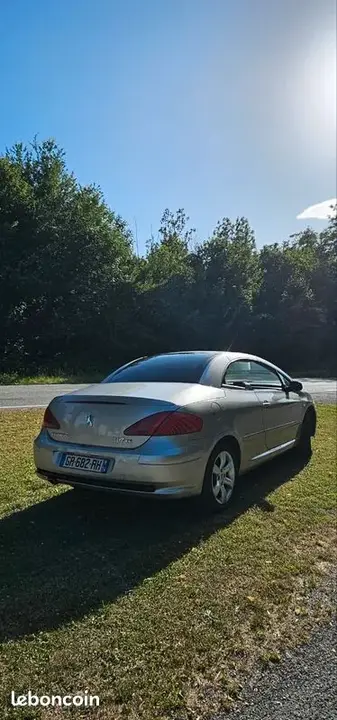 Peugeot 307 2009 photo 2