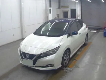 Nissan Leaf 2019 photo 5