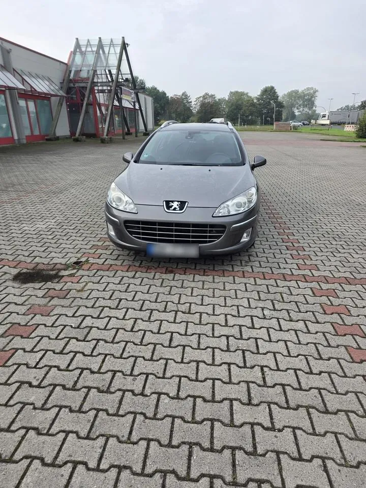 Peugeot 407 Sw