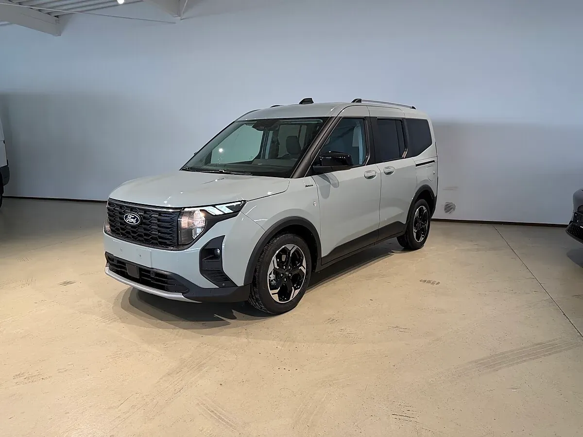 Ford Tourneo photo 2