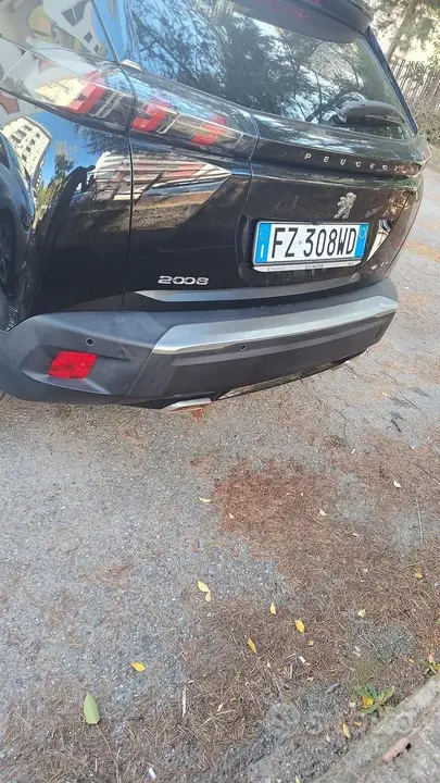 Peugeot 2008 2020 photo 5
