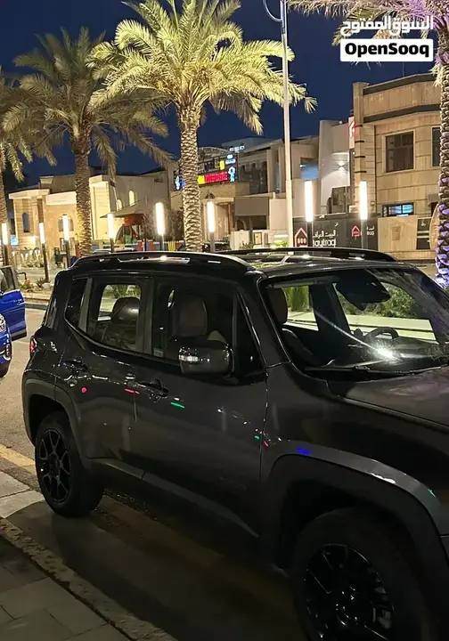 Jeep Renegade 2019 photo 3