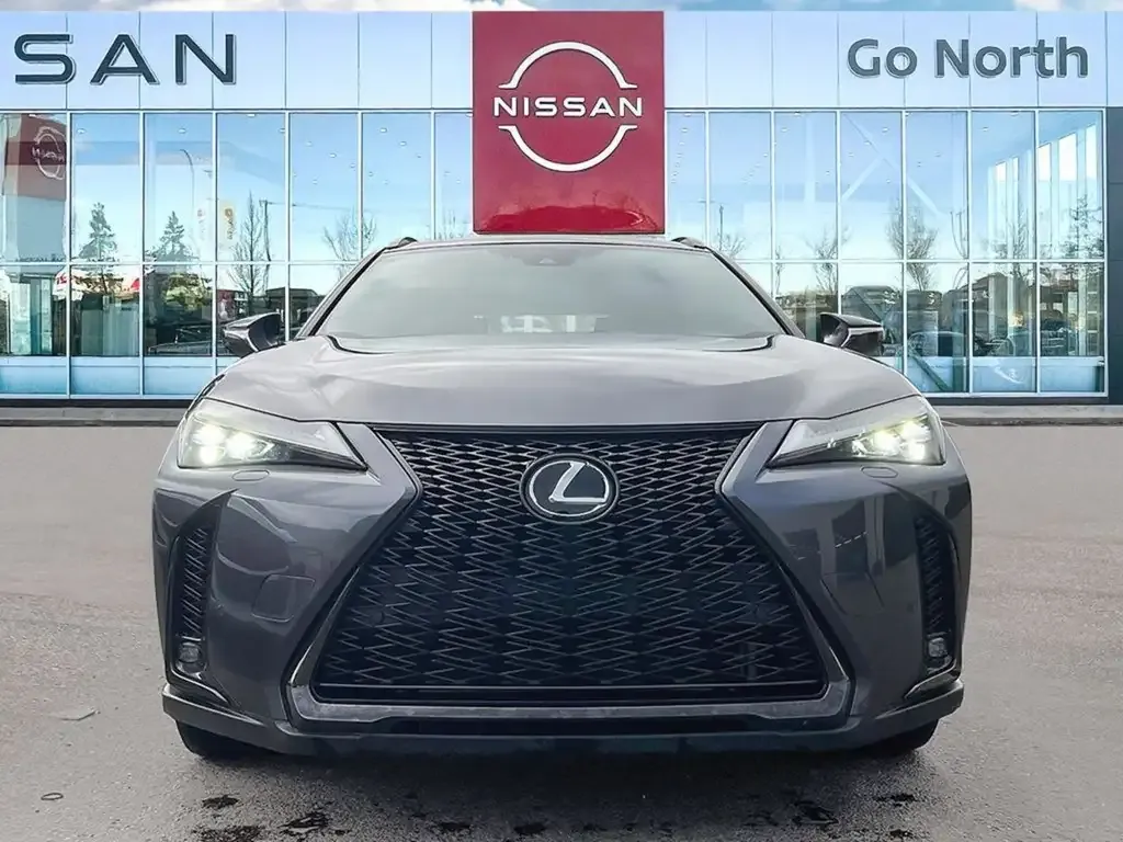 Lexus Ux 2024 photo 2