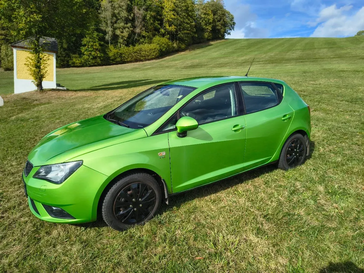 Seat Ibiza 2009 photo 3