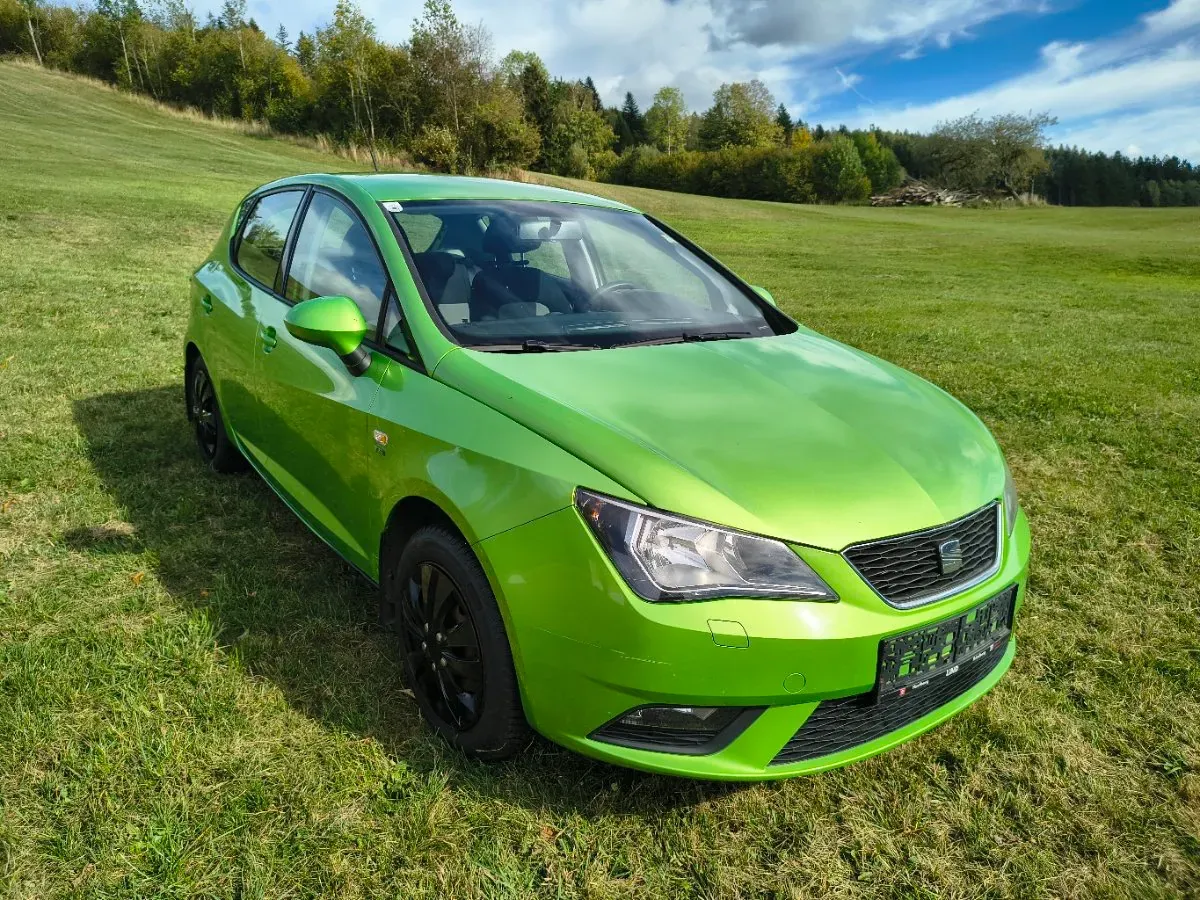 Seat Ibiza 2009 photo 2