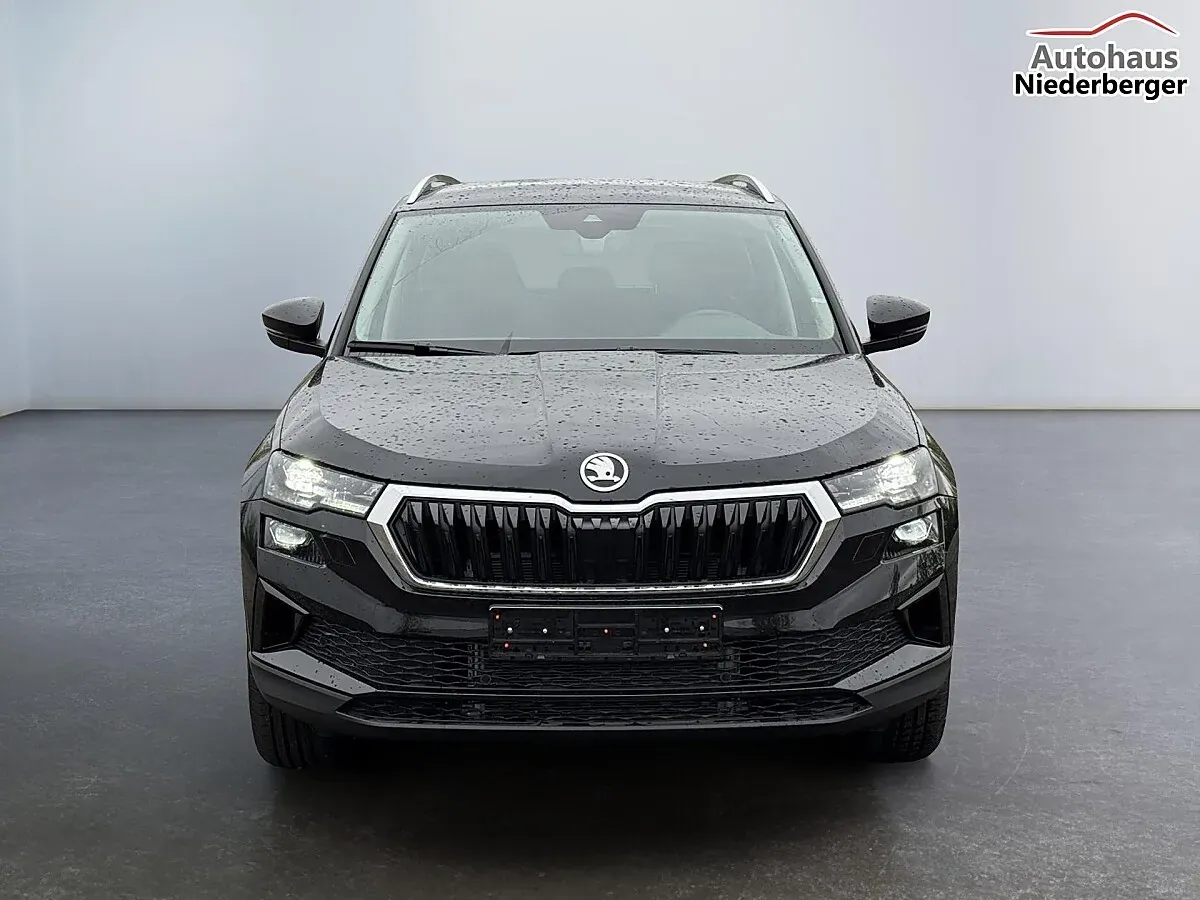 Skoda Karoq 2026 photo 2