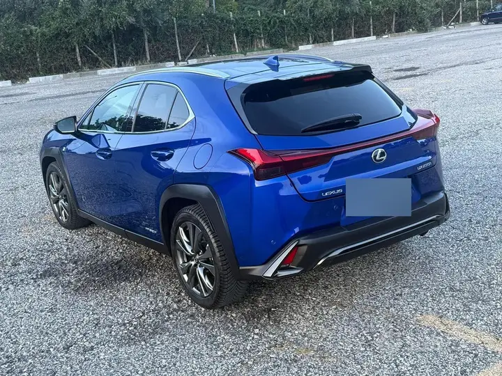 Lexus Ux 2020 photo 4