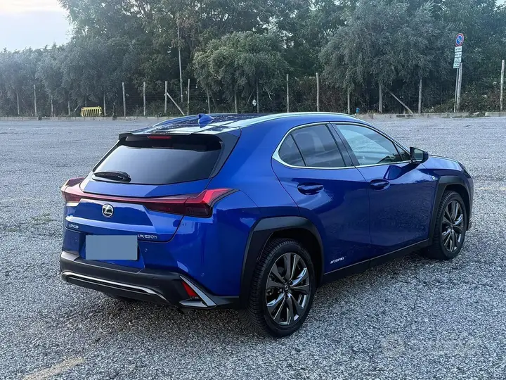 Lexus Ux 2020 photo 3