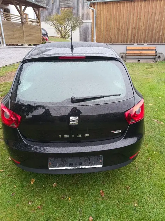 Seat Ibiza 2015 photo 3