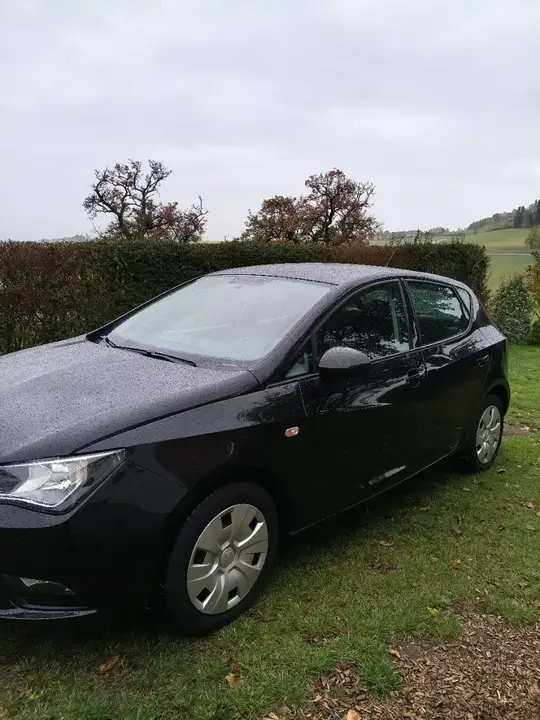 Seat Ibiza 2015 photo 2