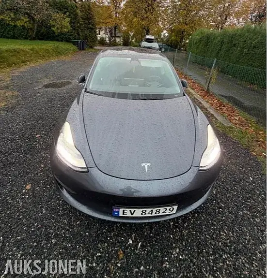 Tesla Model 3 2019 photo 2