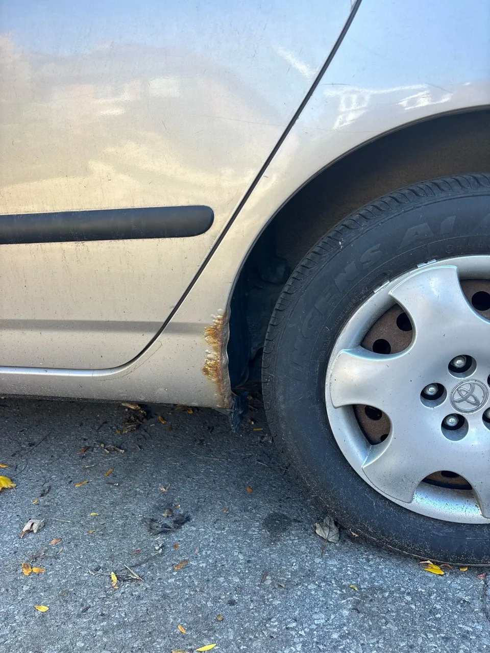 Toyota Corolla 2003 photo 3