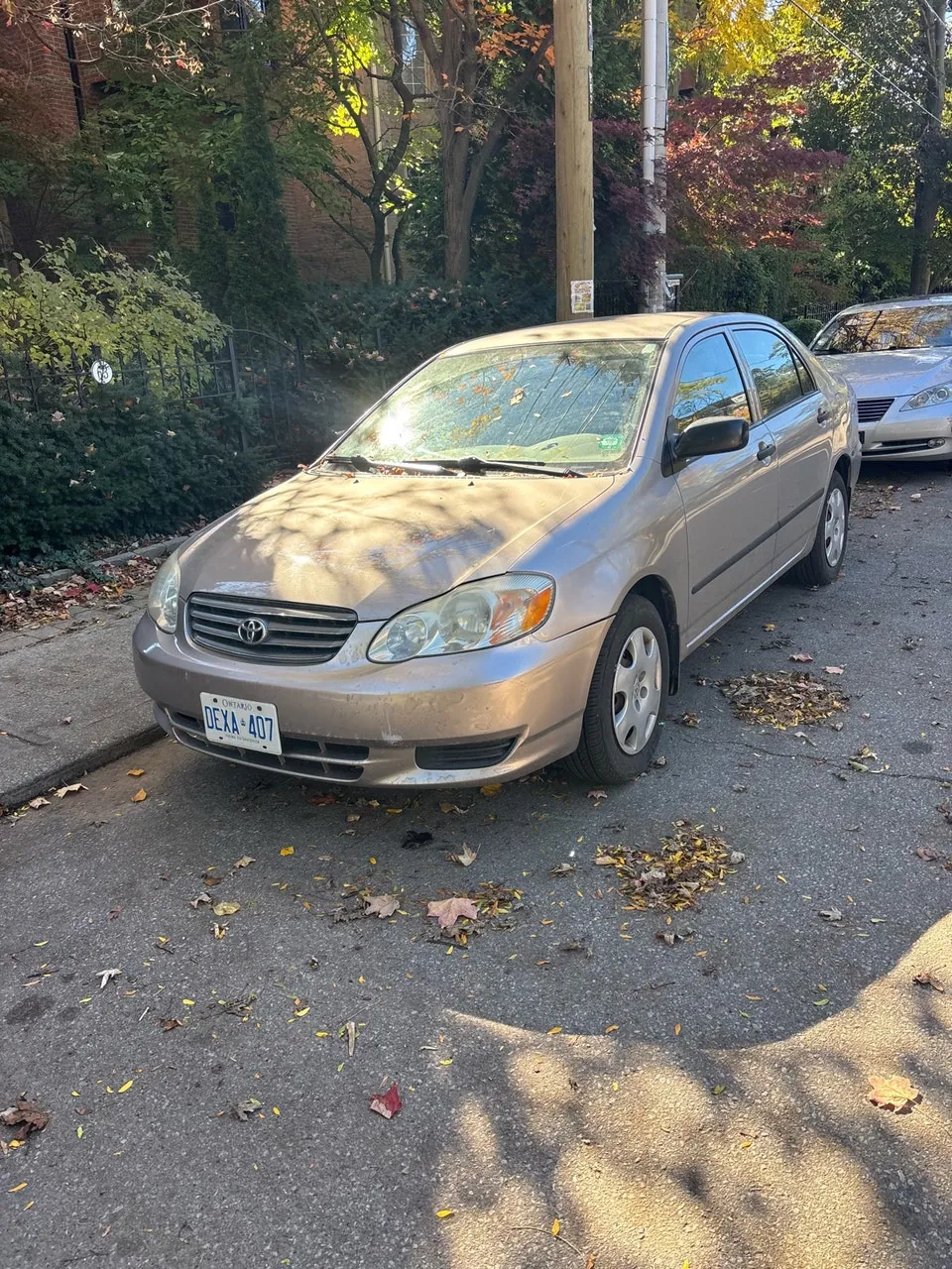 Toyota Corolla